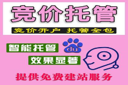 SEM服务公司助力企业转型案例